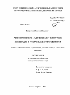 Диссертация по информатике, вычислительной технике и управлению на тему «Математическое моделирование квантовых волноводов с локальными возмущениями»