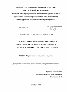 Диссертация по строительству на тему «Основы формирования структуры и технологии строительной керамики на базе алюмомагнезиального сырья»