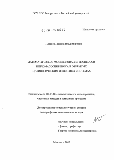 Диссертация по информатике, вычислительной технике и управлению на тему «Математическое моделирование процессов тепломассопереноса в открытых цилиндрических и щелевых системах»