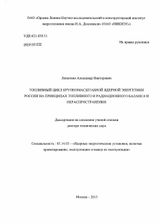 Диссертация по энергетике на тему «Топливный цикл крупномасштабной ядерной энергетики России на принципах топливного и радиационного баланса и нераспространения»