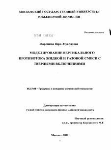 Диссертация по химической технологии на тему «Моделирование вертикального противотока жидкой и газовой смеси с твердыми включениями»