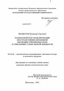 Диссертация по информатике, вычислительной технике и управлению на тему «Математическое моделирование пространственно-временной эволюции трёхмерных волн в стекающих слоях вязкой жидкости»