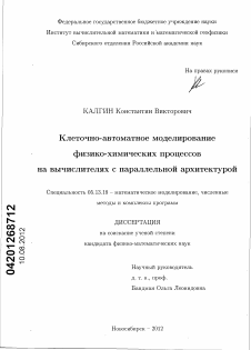 Диссертация по информатике, вычислительной технике и управлению на тему «Клеточно-автоматное моделирование физико-химических процессов на вычислителях с параллельной архитектурой»