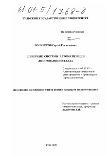 Диссертация по информатике, вычислительной технике и управлению на тему «Шиберные системы автоматизации дозирования металла»