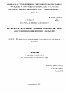 Диссертация по информатике, вычислительной технике и управлению на тему «Численное моделирование обратных динамических задач акустики методом граничного управления»