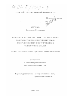 Диссертация по металлургии на тему «Кинетика и механизмы структурообразования поверхностных слоев предварительно деформированных никотрированных теплостойких сталей»