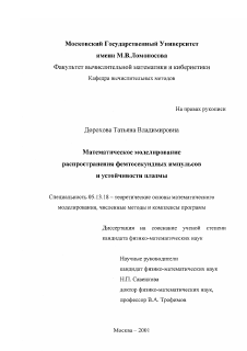 Диссертация по информатике, вычислительной технике и управлению на тему «Математическое моделирование распространения фемтосекундных импульсов и устойчивости плазмы»