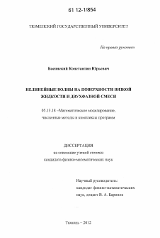 Диссертация по информатике, вычислительной технике и управлению на тему «Нелинейные волны на поверхности вязкой жидкости и двухфазной смеси»