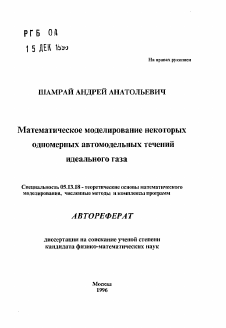 Автореферат по информатике, вычислительной технике и управлению на тему «Математическое моделирование некоторых одномерных автомодельных течений идеального газа»