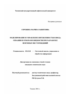 Диссертация по информатике, вычислительной технике и управлению на тему «Моделирование и управление интенсивностью ввода скважин и отборами жидкости при разработке нефтяных месторождений»