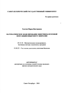 Автореферат по информатике, вычислительной технике и управлению на тему «Математическое моделирование кинетики клеточной популяции кишечного эпителия»