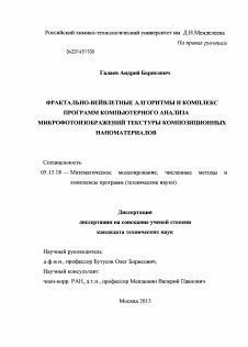 Диссертация по информатике, вычислительной технике и управлению на тему «Фрактально-вейвлетные алгоритмы и комплекс программ компьютерного анализа микрофотоизображений текстуры композиционных наноматериалов»