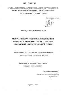 Диссертация по информатике, вычислительной технике и управлению на тему «Математическое моделирование динамики термокарстовых процессов на территории многолетней мерзлоты Западной Сибири»