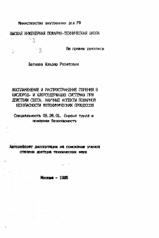 Автореферат по безопасности жизнедеятельности человека на тему «Воспламенение и распространение горения в кислород- и хлоросодержащих при действии света. Научные аспекты пожарной безопасности фотохимических процессов»