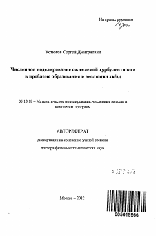 Автореферат по информатике, вычислительной технике и управлению на тему «Численное моделирование сжимаемой турбулентности в проблеме образования и эволюции звёзд»