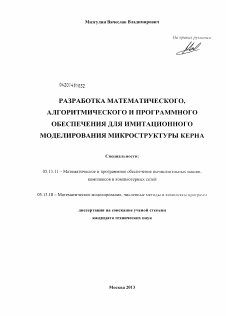 Диссертация по информатике, вычислительной технике и управлению на тему «Разработка математического, алгоритмического и программного обеспечения для имитационного моделирования микроструктуры керна»