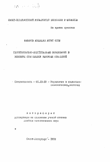 Автореферат по информатике, вычислительной технике и управлению на тему «Территориально-хозяйственные образования в условиях становления рыночных отношений»