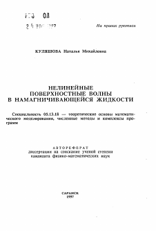 Автореферат по информатике, вычислительной технике и управлению на тему «Нелинейные поверхностные волны в намагничивающейся жидкости»