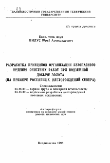 Автореферат по безопасности жизнедеятельности человека на тему «Разработка принципов организации безопасного ведения очистных работ при подземной добыче золота»