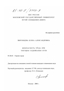 Диссертация по безопасности жизнедеятельности человека на тему «Безопасность труда при текущем содержании пути»