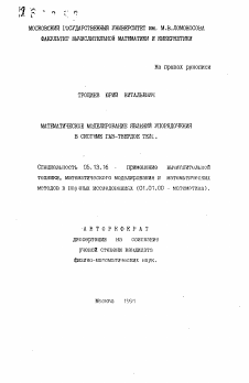 Автореферат по информатике, вычислительной технике и управлению на тему «Математическое моделирование явлений упорядочения в системе газ-твердое тело»