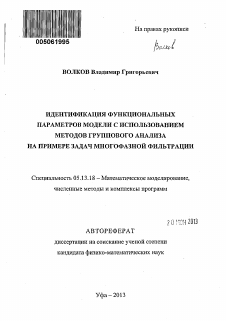 Автореферат по информатике, вычислительной технике и управлению на тему «Идентификация функциональных параметров модели с использованием методов группового анализа на примере задач многофазной фильтрации»