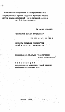 Автореферат по энергетике на тему «Динамика конверсии низкосортных углей в потоке и кипящем слое»