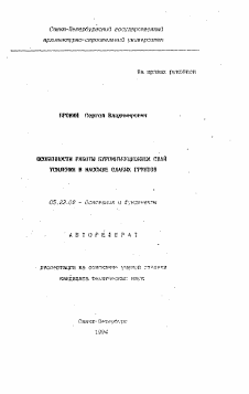 Автореферат по строительству на тему «Особенности работы буроинъекционных свай усиления в массиве слабых грунтов»