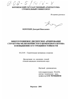 Диссертация по строительству на тему «Многоуровневое дисперсное армирование структуры мелкозернистого бетона и повышение его трещиностойкости»