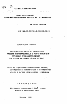 Автореферат по информатике, вычислительной технике и управлению на тему «Прогнозирование развития региональных топливно-энергетических баз с учетом развития и размещения производительных сил»