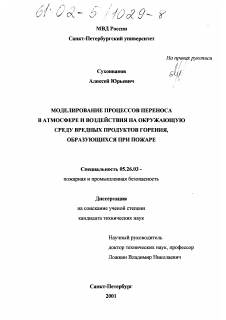 Диссертация по безопасности жизнедеятельности человека на тему «Моделирование процессов переноса в атмосфере и воздействия на окружающую среду вредных продуктов горения, образующихся при пожаре»