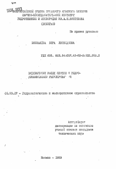 Автореферат по строительству на тему «Водовыпуски малых плотин с гидродинамическим регулированием»