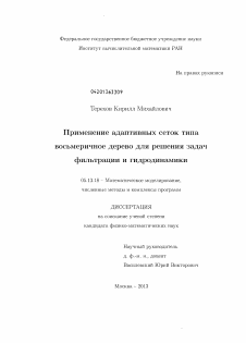 Диссертация по информатике, вычислительной технике и управлению на тему «Применение адаптивных сеток типа восьмеричное дерево для решения задач фильтрации и гидродинамики»