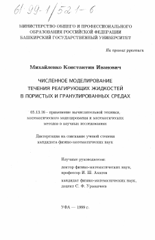 Диссертация по информатике, вычислительной технике и управлению на тему «Численное моделирование течения реагирующих жидкостей в пористых и гранулированных средах»