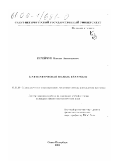 Диссертация по информатике, вычислительной технике и управлению на тему «Математическая модель глаукомы»