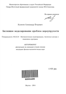 Автореферат по информатике, вычислительной технике и управлению на тему «Численное моделирование проблем пороупругости»