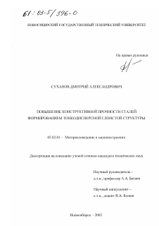 Диссертация по машиностроению и машиноведению на тему «Повышение конструктивной прочности сталей формированием тонкодисперсной слоистой структуры»