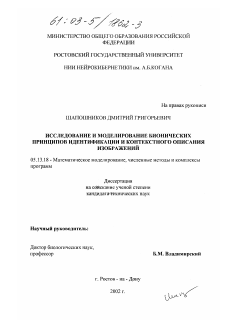 Диссертация по информатике, вычислительной технике и управлению на тему «Исследование и моделирование бионических принципов идентификации и контекстного описания изображений»