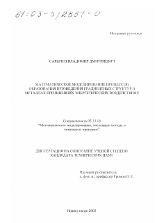 Диссертация по информатике, вычислительной технике и управлению на тему «Математическое моделирование процессов образования и поведения градиентных структур в металлах при внешних энергетических воздействиях»