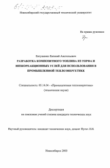 Диссертация по энергетике на тему «Разработка композитного топлива из торфа и низкореакционных углей для использования в промышленной теплоэнергетике»