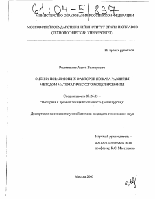 Диссертация по безопасности жизнедеятельности человека на тему «Оценка поражающих факторов пожара разлития методом математического моделирования»